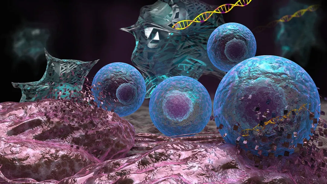 细胞治疗将成为“医学第三大支柱”，干细胞和免疫细胞有什么区别？